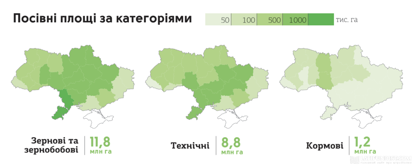 Посівні площі за категоріями в 2025 році. Джерело: Інфобук "Агробізнес України 2024/25"